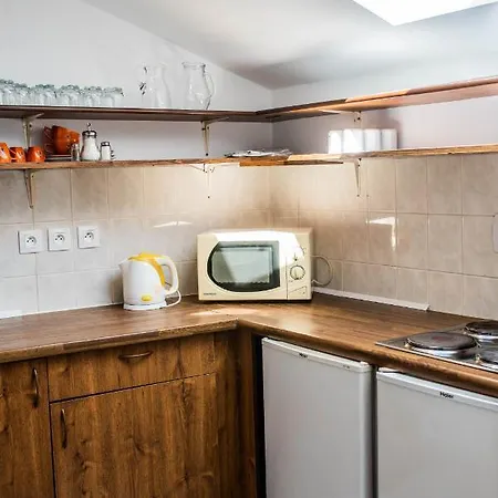Guest house U Dreveneho Ptaka Protivin