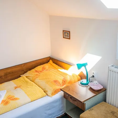U Dreveneho Ptaka Guest house *