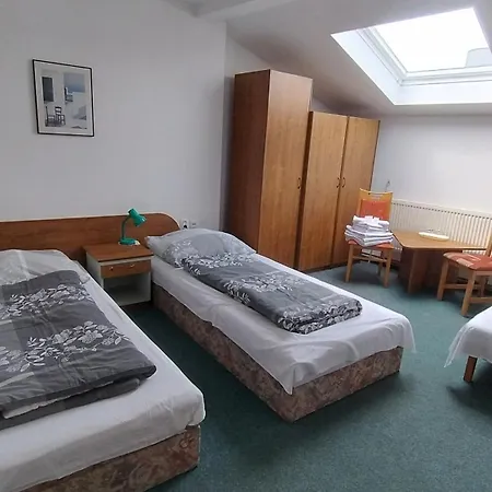 Guest house U Dreveneho Ptaka *