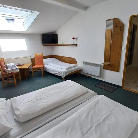 U Dreveneho Ptaka Guest house