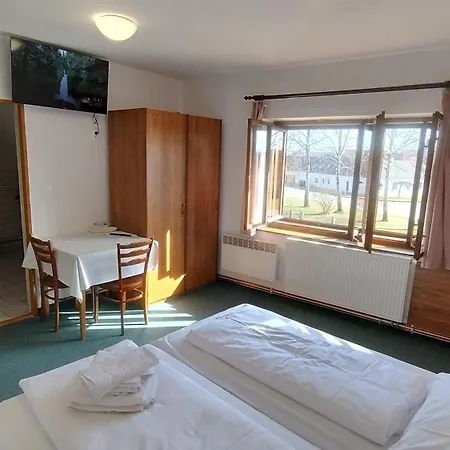 Guest house U Dreveneho Ptaka