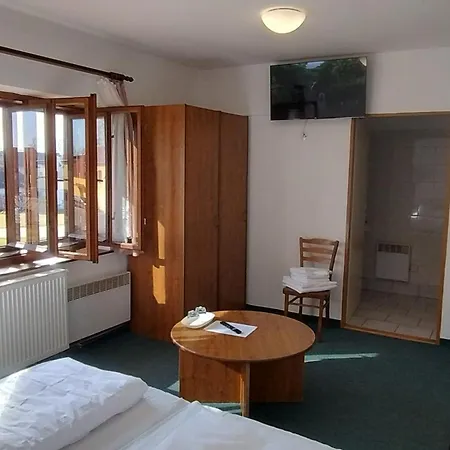 U Dreveneho Ptaka ゲストハウス 3*