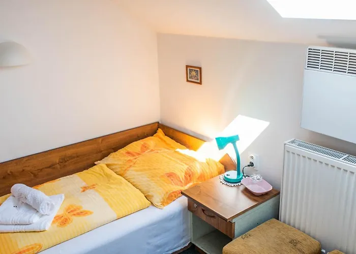 U Dřevěného Ptáka Casa de hóspedes 3*