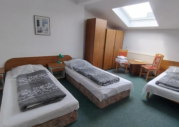 Casa de hóspedes U Dřevěného Ptáka 3*