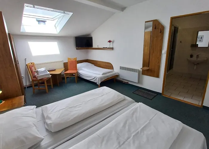 U Dřevěného Ptáka Casa de hóspedes