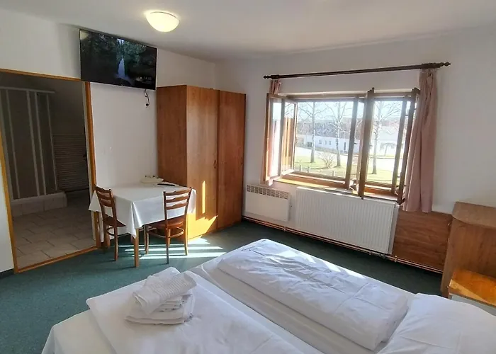 Casa de hóspedes U Dřevěného Ptáka